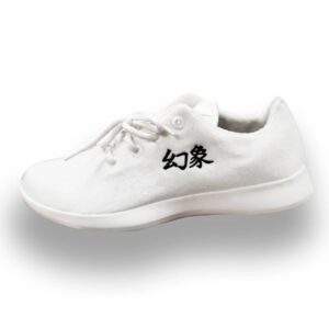 shoes5